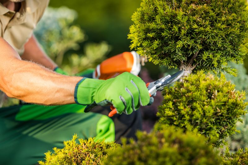 Tree And Garden Service